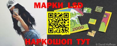 стафф Будённовск