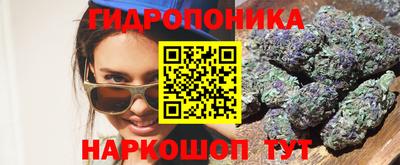 стафф Будённовск
