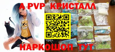 стафф Будённовск