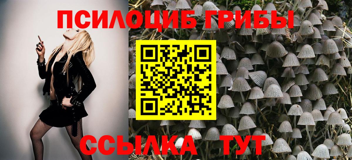 Галлюциногенные грибы Psilocybine cubensis Евпатория
