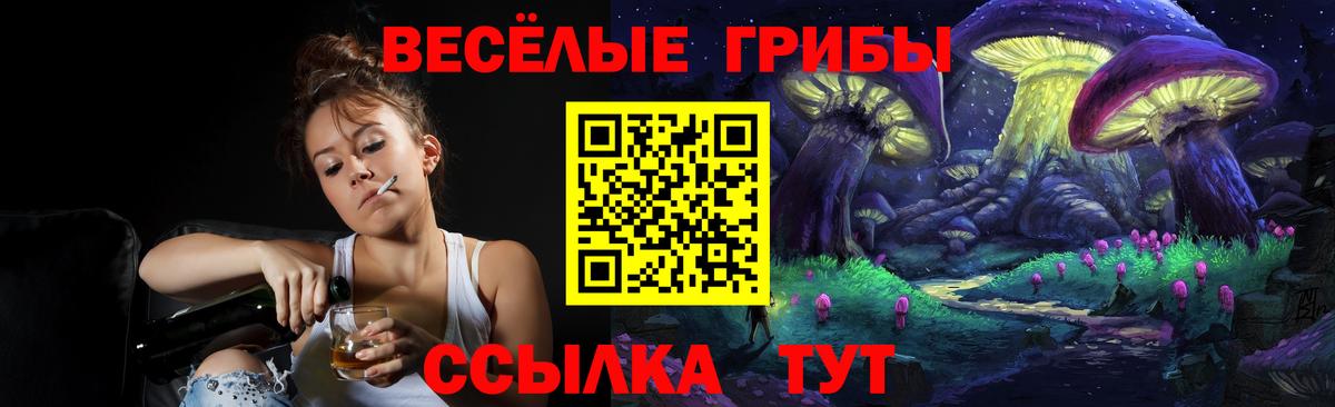 Псилоцибиновые грибы прущие грибы  Вход с VPN  Евпатория 