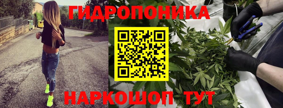 Евпатория  Бошки марихуана LSD WEED  Канабис индика  Бошки Шишки план  Канабис AK-47  Вход с VPN 